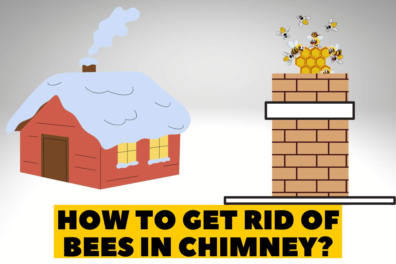 how to get rid of bees in chimney