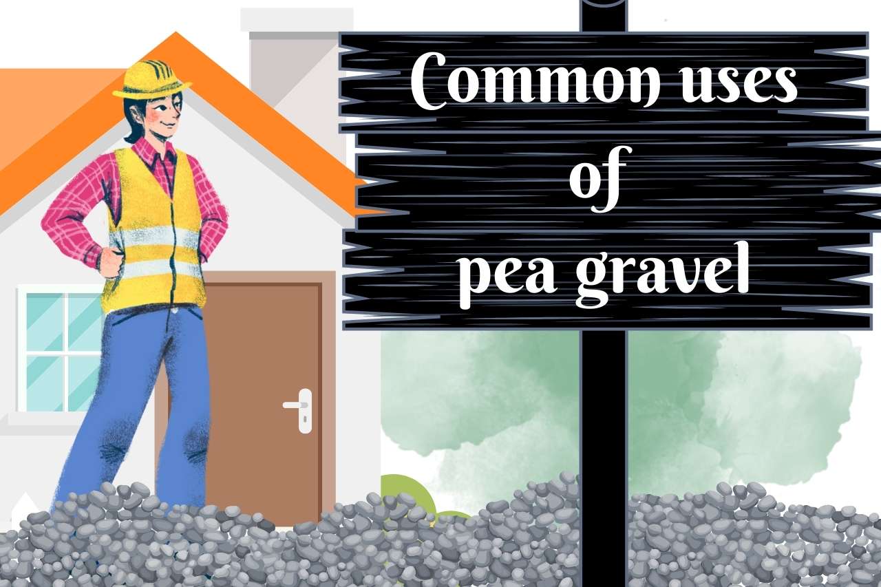 Common uses of pea gravel?