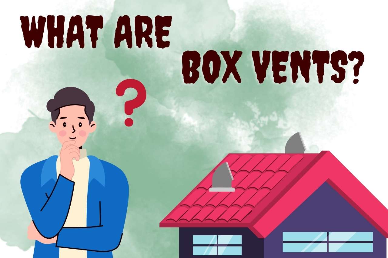 What are Box Vents? 