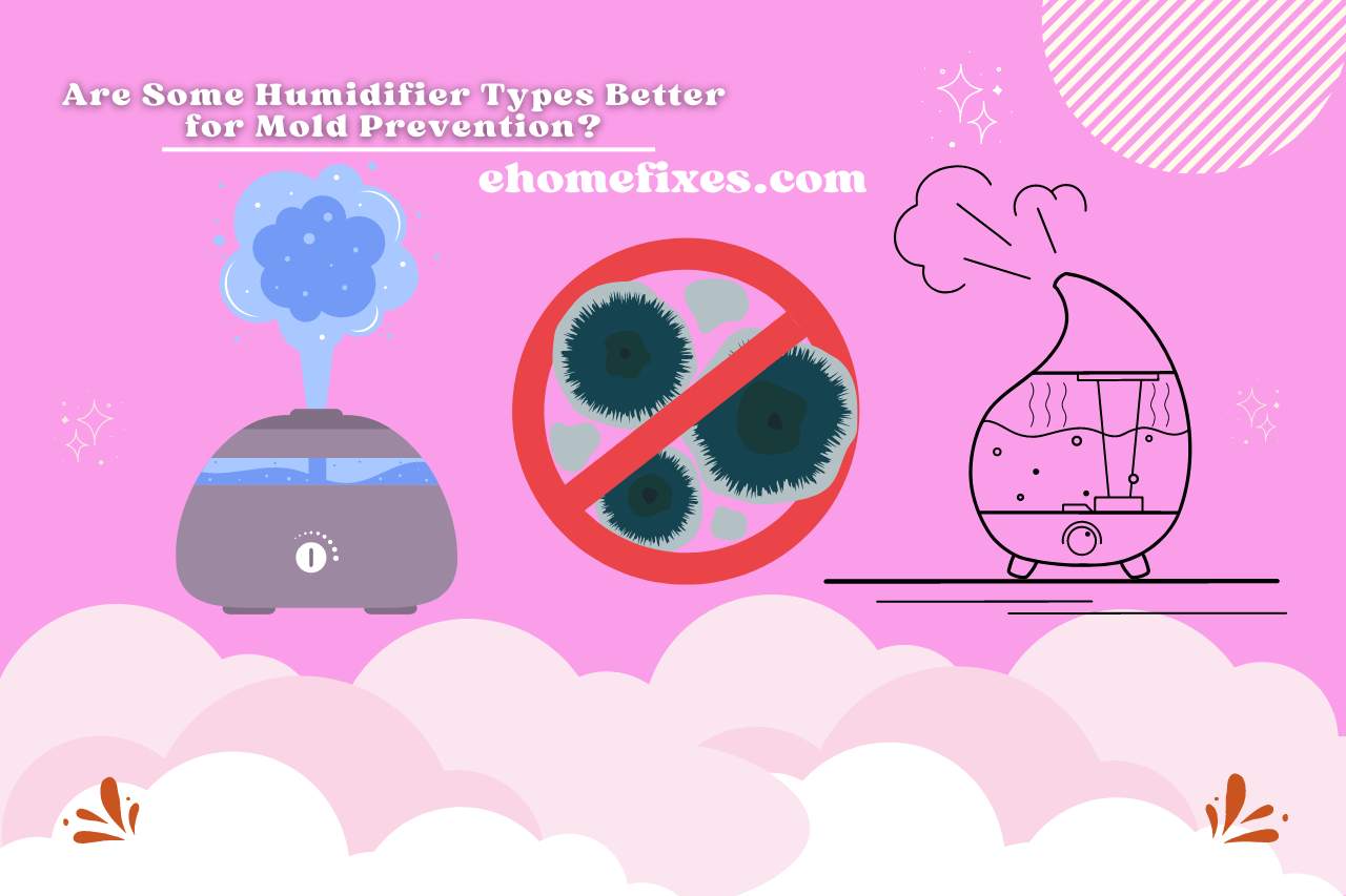 Are Some Humidifier Types Better for Mold Prevention